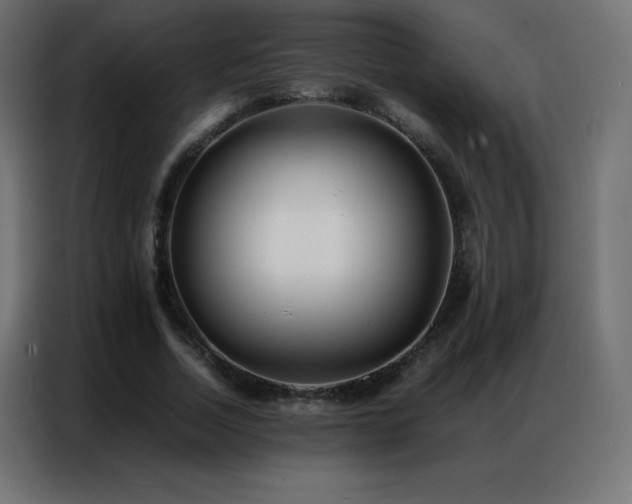 X0000086920730200704161402