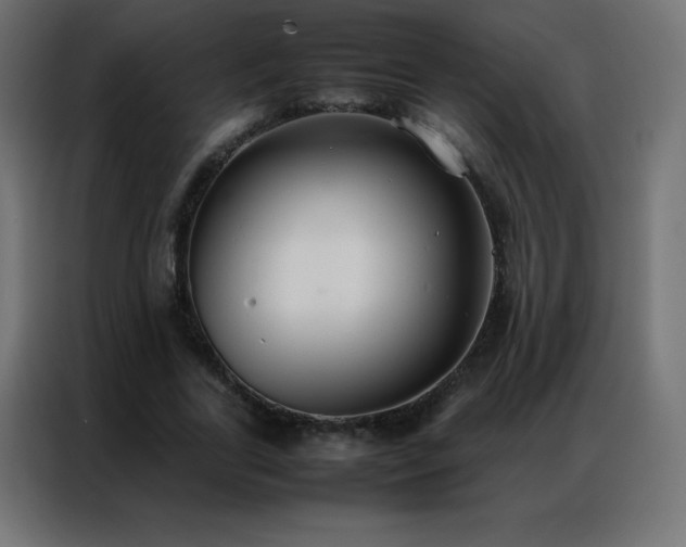 X0000086920731200704161402