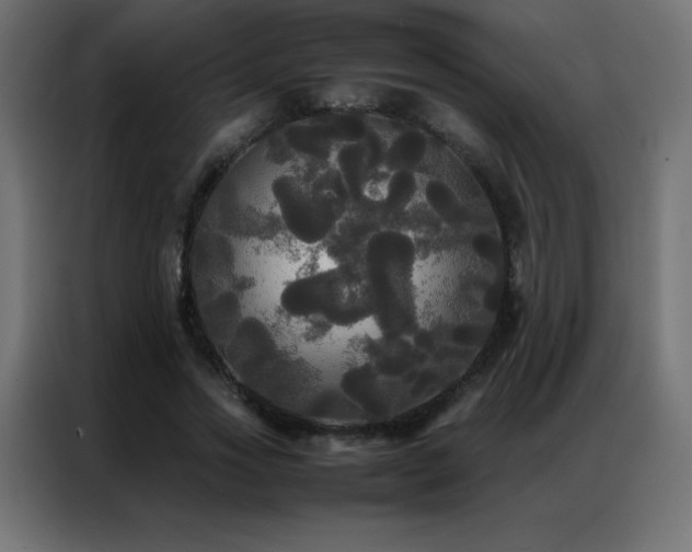 X0000086920733200704161402