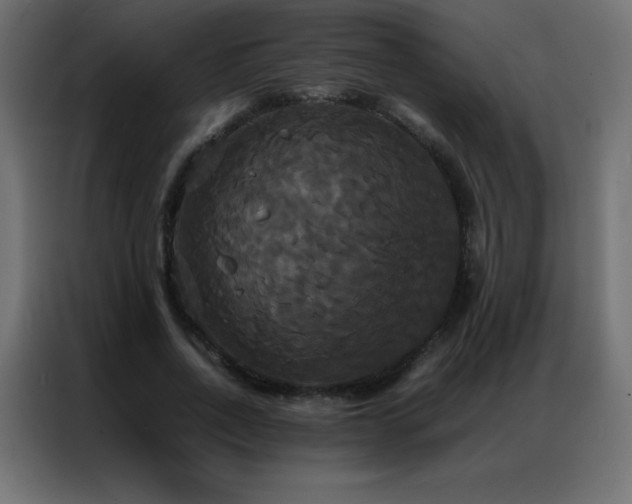 X0000086920734200704161402