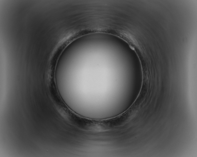 X0000086920736200704161402