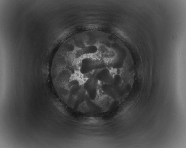 X0000086920737200704161402