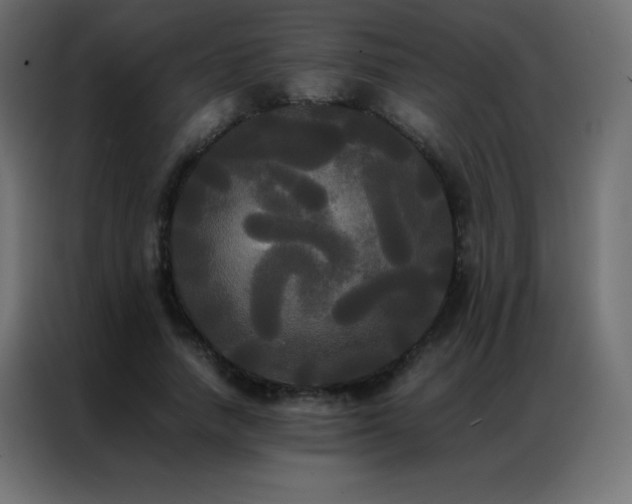 X0000086920738200704161402