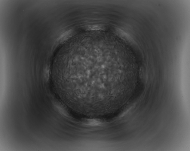 X0000086920741200704161402