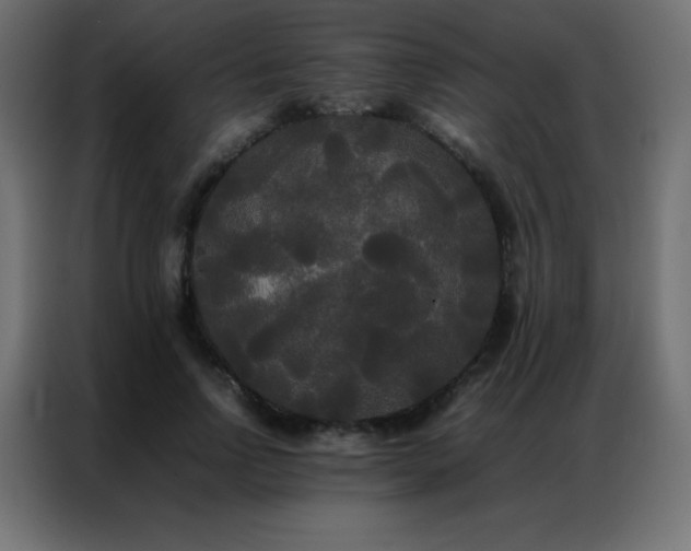 X0000086920742200704161402