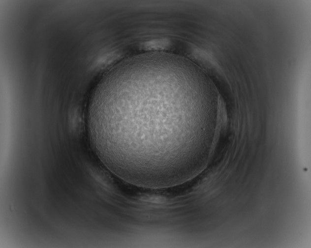 X0000086920743200704161402