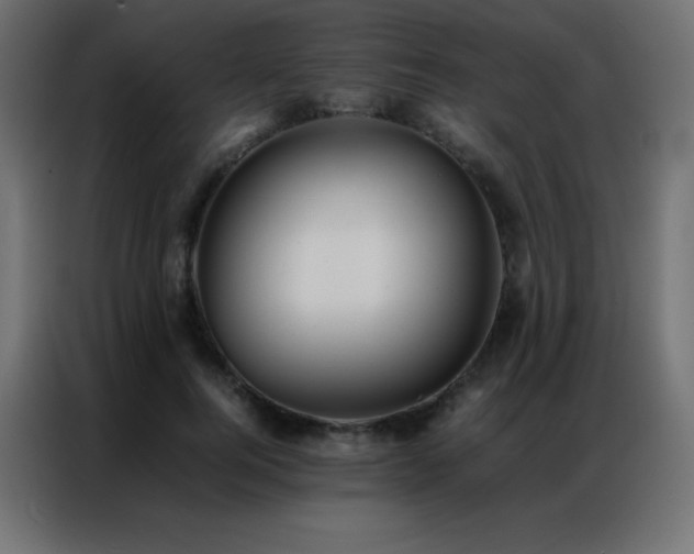 X0000086920744200704161402