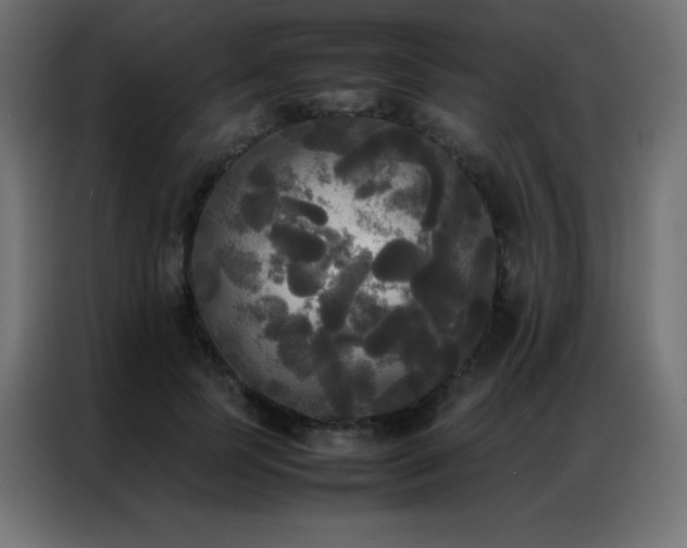 X0000086920745200704161402