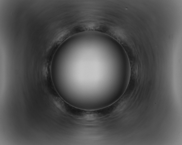 X0000086920746200704161402