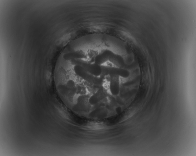 X0000086920749200704161402