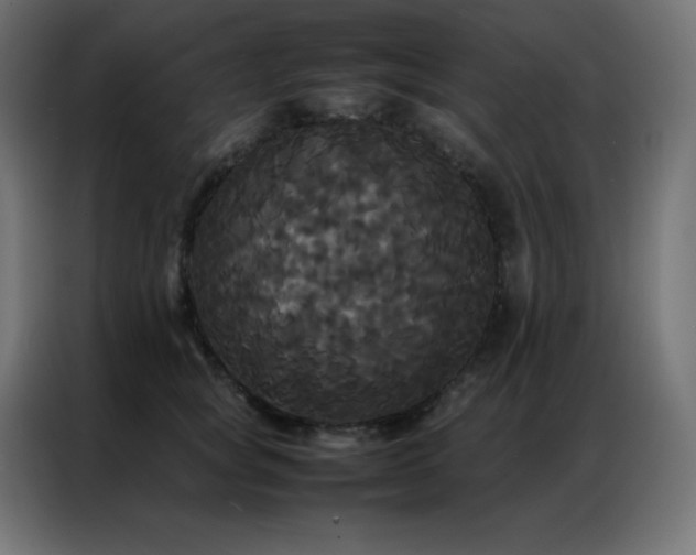 X0000086920757200704161402