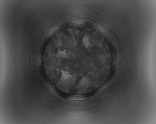 X0000086920758200704161402