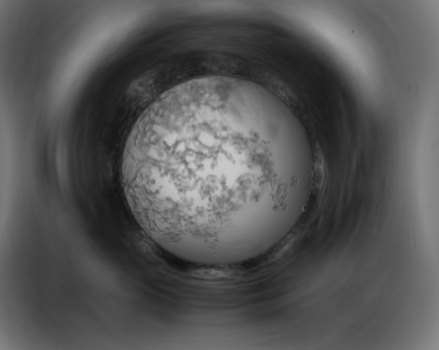 X0000086920765200704161402