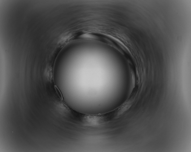 X0000086920766200704161402