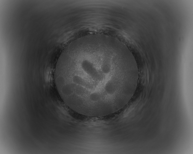 X0000086920770200704161402