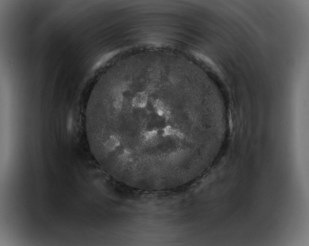 X0000086920776200704161402