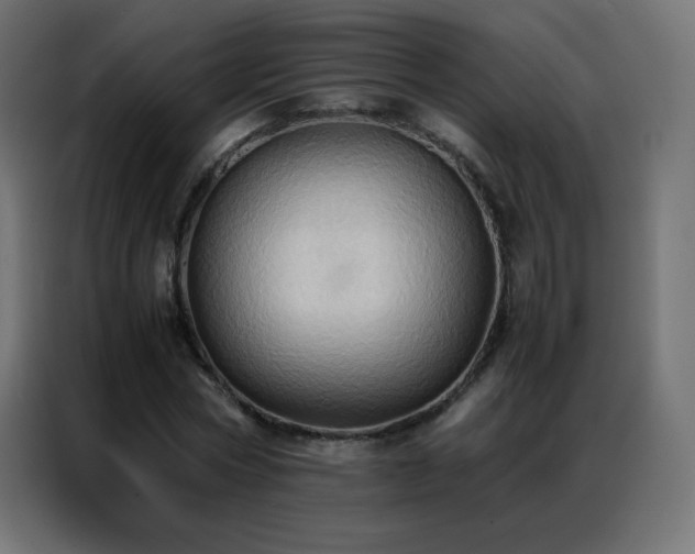 X0000086920778200704161402