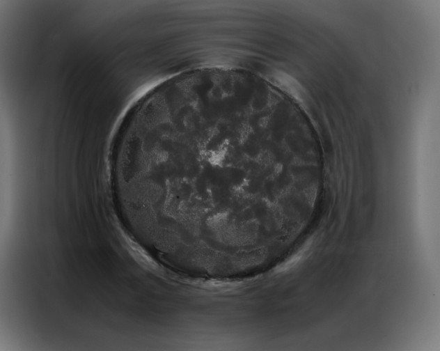 X0000086920779200704161402