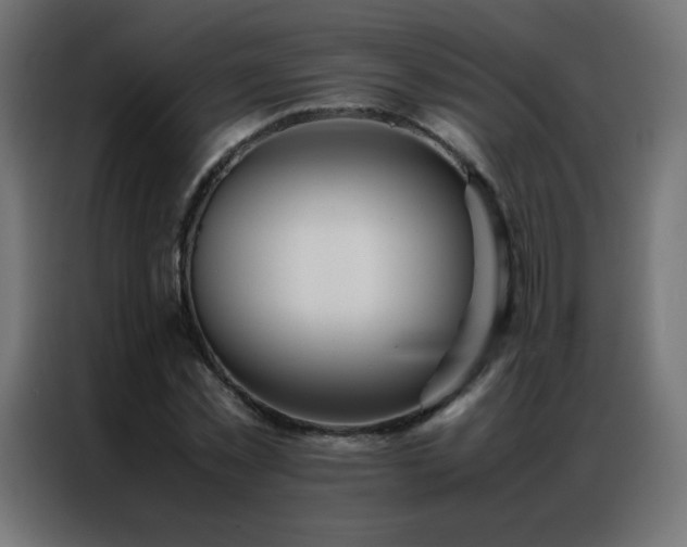 X0000086920781200704161402