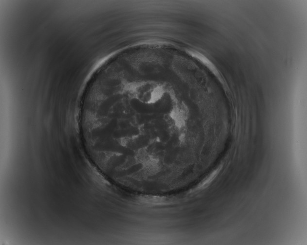 X0000086920783200704161402