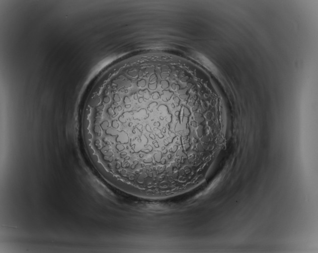 X0000086920787200704161402