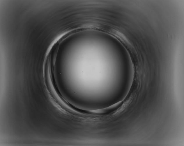 X0000086920788200704161402
