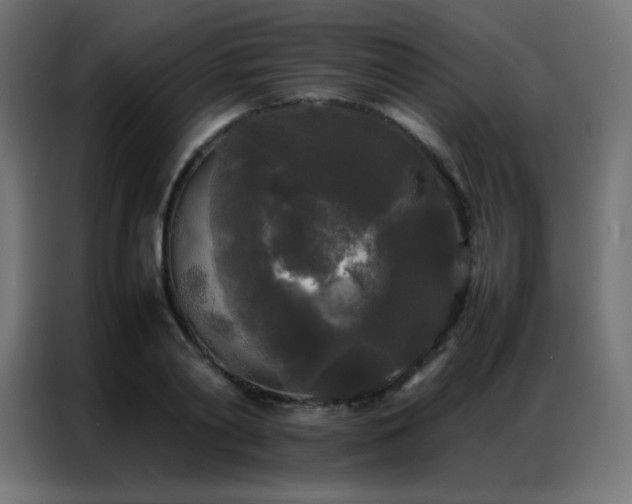 X0000086920790200704161402
