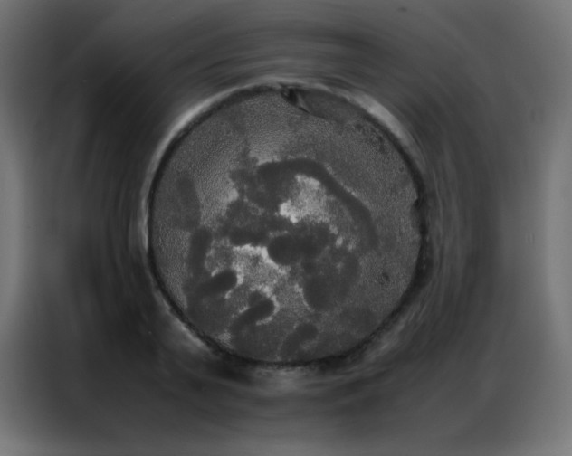 X0000086920791200704161402
