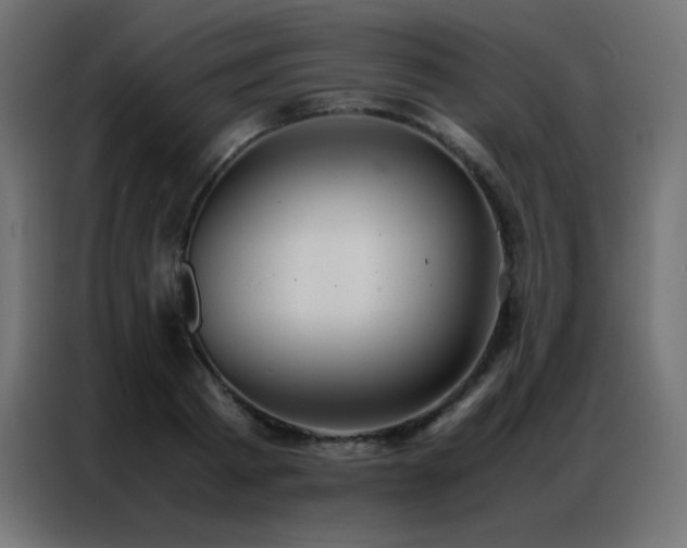 X0000086920793200704161402