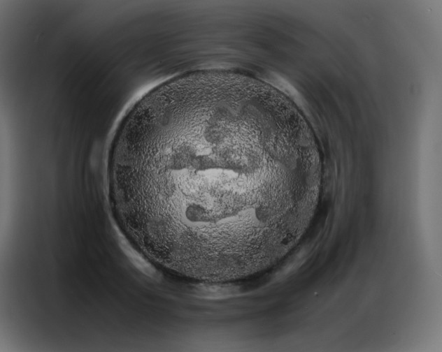 X0000086920795200704161401