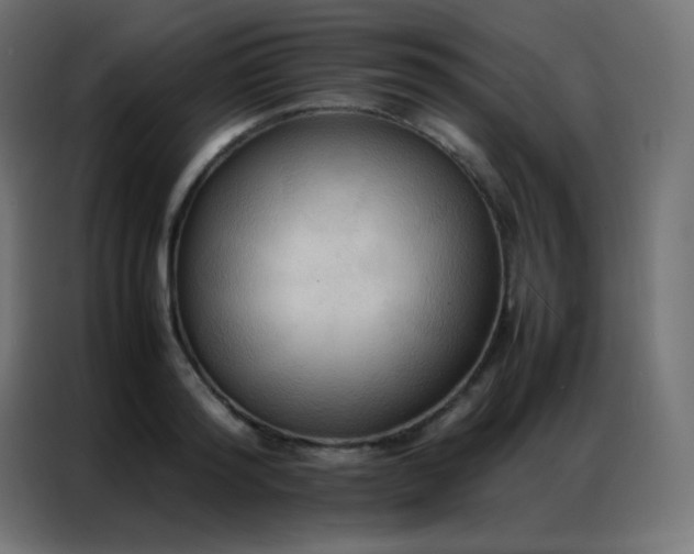 X0000086920796200704161401