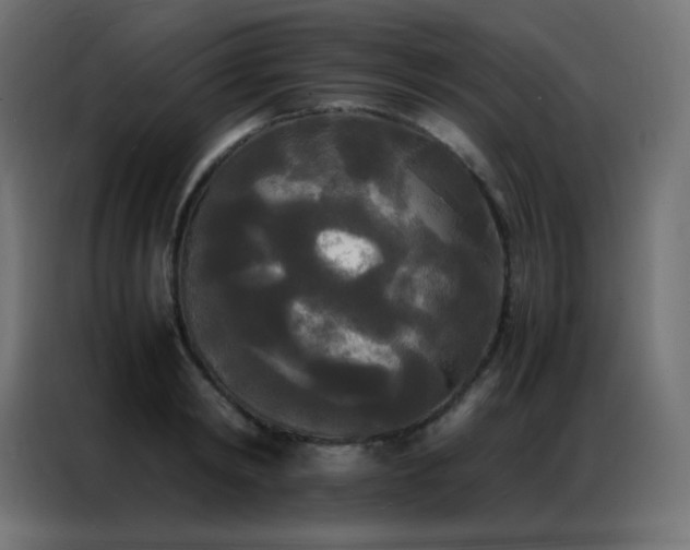 X0000086920798200704161401