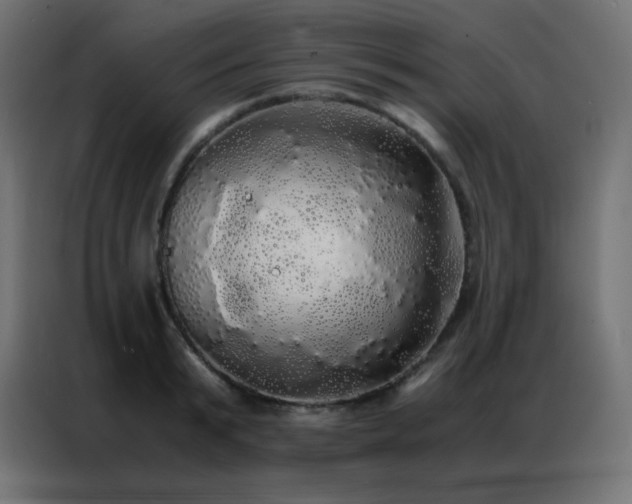 X0000086920799200704161401