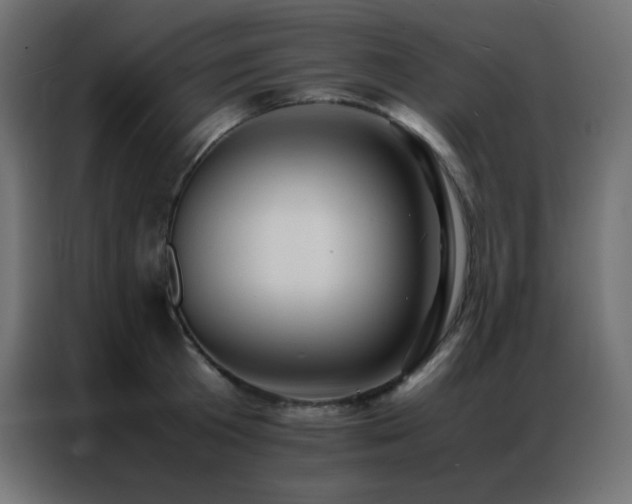 X0000086920801200704161401