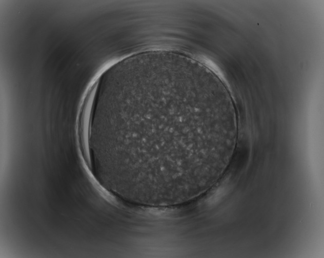 X0000086920803200704161401