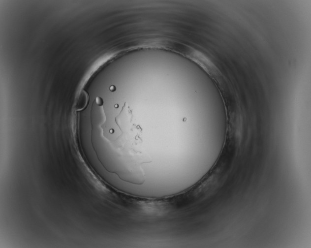 X0000086920804200704161401