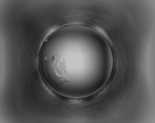 X0000086920805200704161401