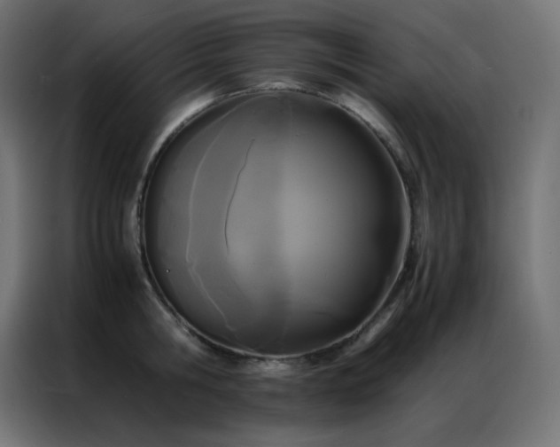 X0000086920806200704161401