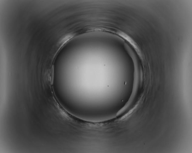 X0000086920809200704161401
