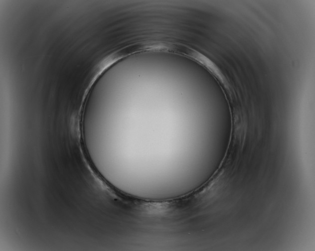 X0000086920810200704161401