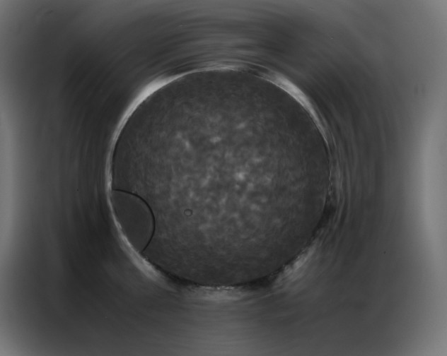 X0000086920811200704161401