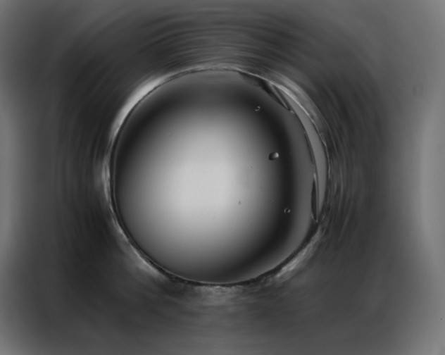 X0000086920812200704161401