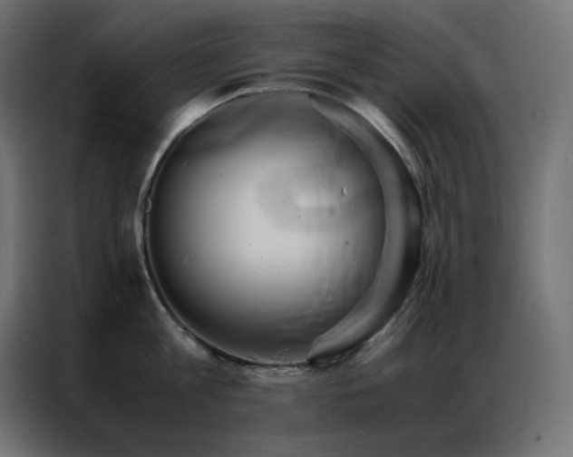 X0000086920813200704161401