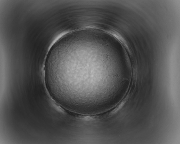 X0000086920814200704161401