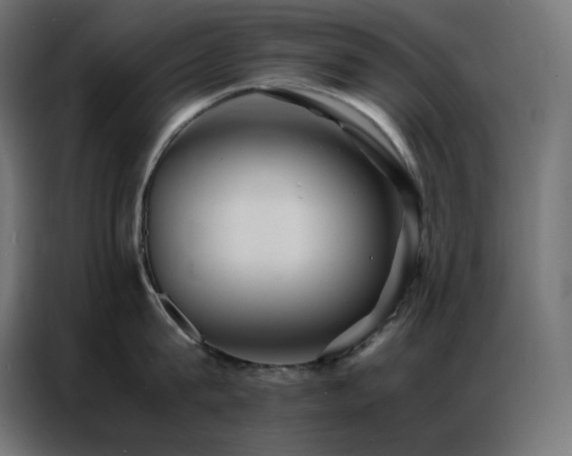 X0000086920815200704161401
