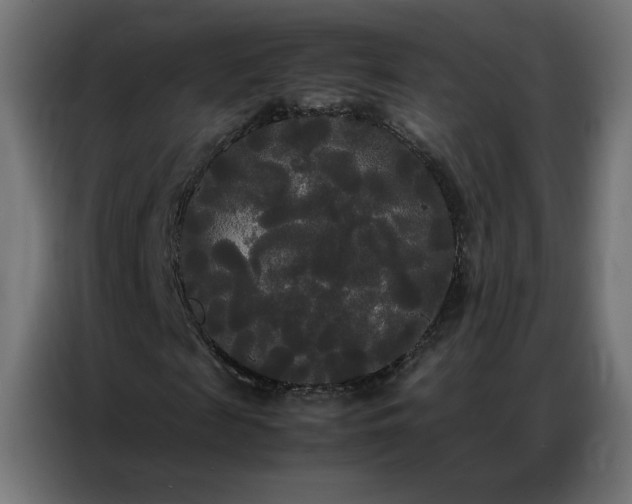 X0000086920817200704161401