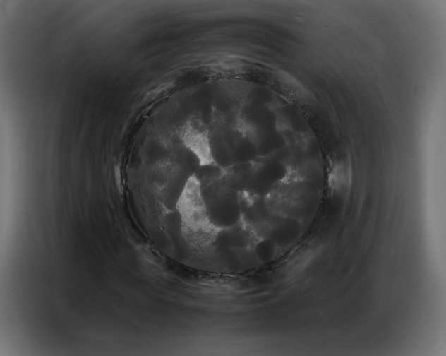 X0000086920819200704161401