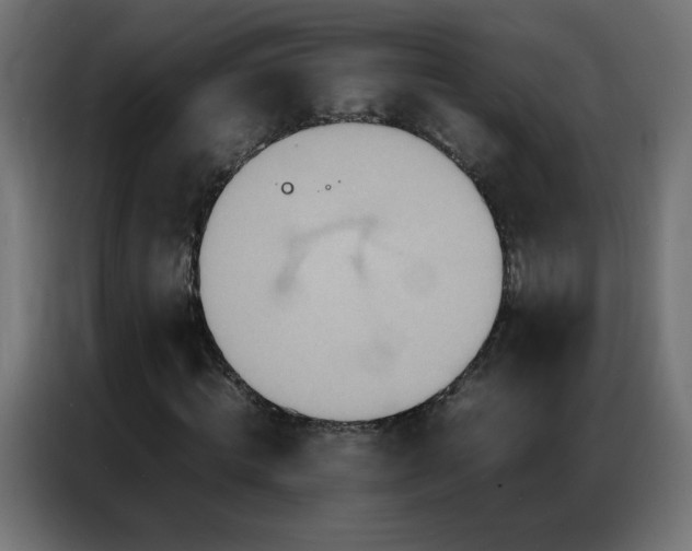 X0000086920820200704161401