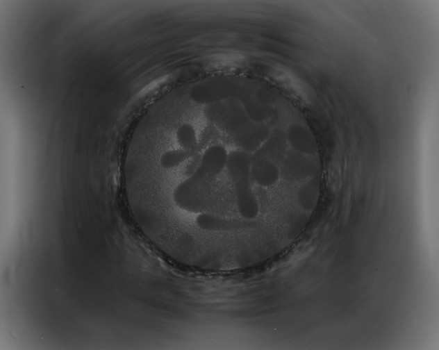 X0000086920821200704161401