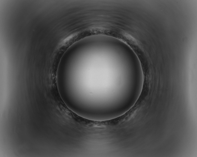 X0000086920822200704161401